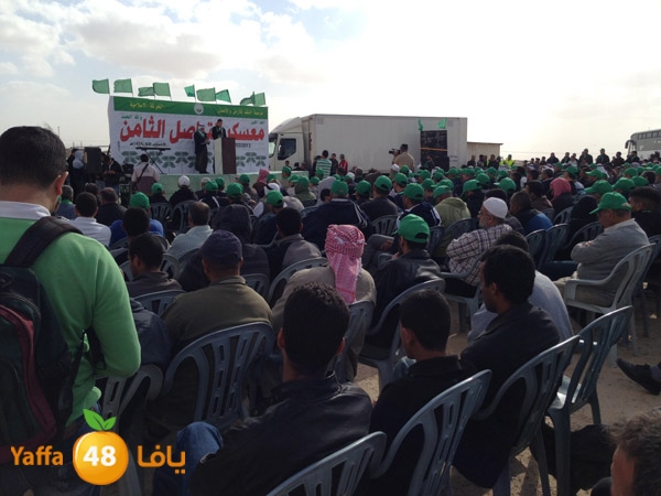 masjednaqabyaffalud (24).JPG